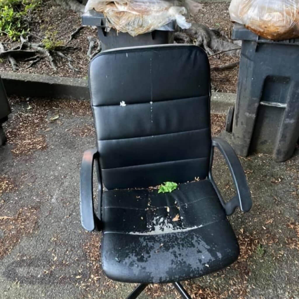 Junk Removal for Strata & Property Managers